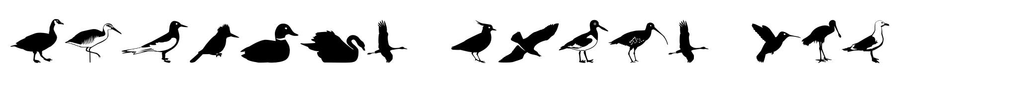 Altemus Birds Two image